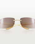 Panthère de Cartier sunglasses